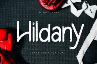 Hildany: The Versatile Sans Serif Font for Small Business Branding