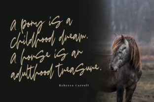 Madigel: A Script Handwritten Font for Creative Campaigns