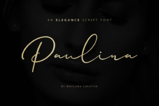 Paulina: The Font That Transformed My Bakery’s Brand
